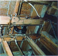 Mold Growth On Wood
