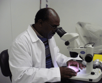 bacteria identification